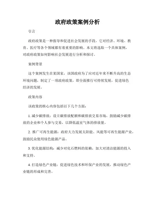 政府政策案例分析