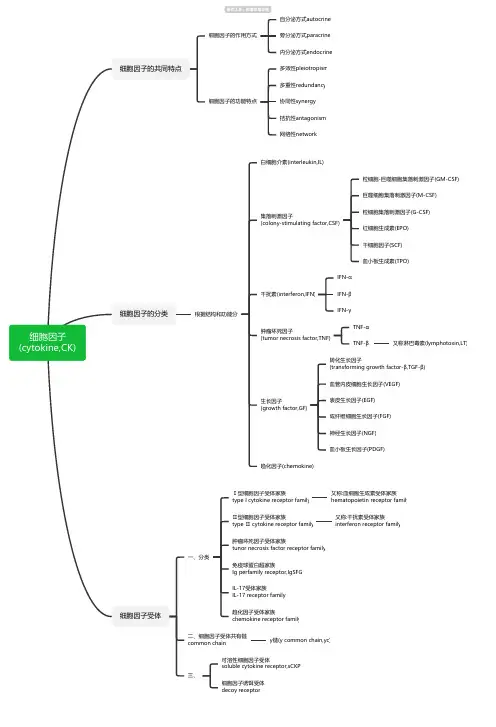 医学-细胞因子(cytokine CK)思维导图-高清简单脑图模板-知犀思维导图