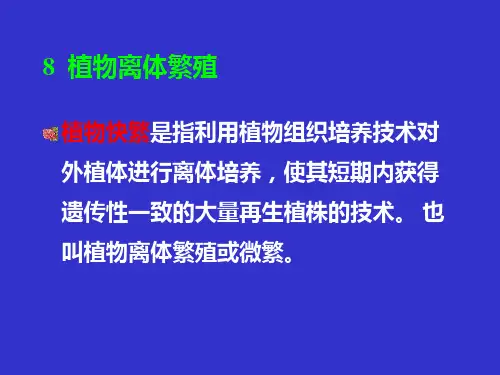 植物组织培养(7)