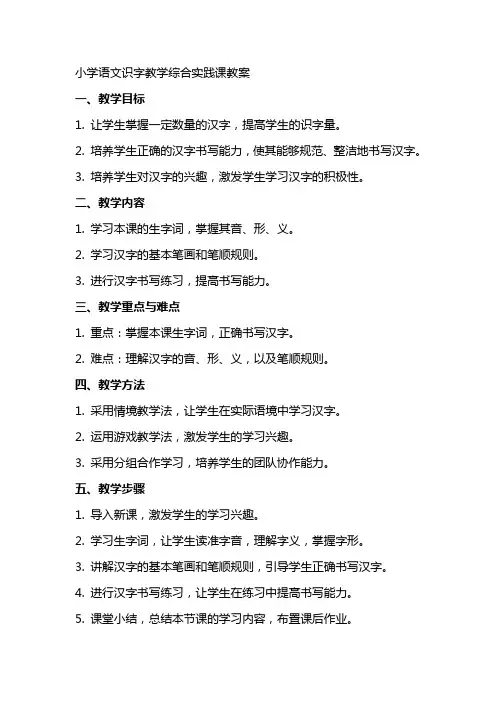 小学语文识字教学综合实践课教案