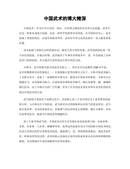 中国武术的博大精深