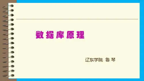 数据库原理第一章数据库基础