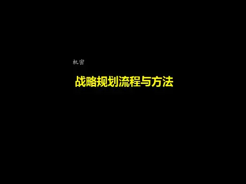 企业战略规划流程与方法pptNoSlideTi