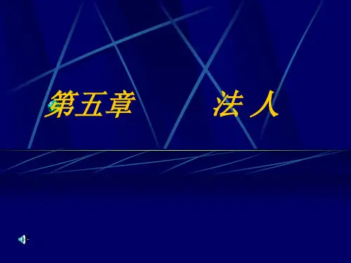 第五章法人介绍