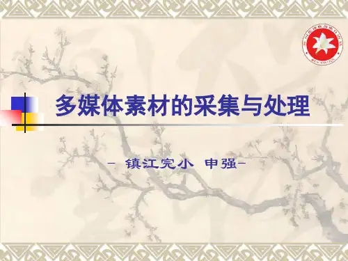 多媒体素材的采集与处理2ppt课件