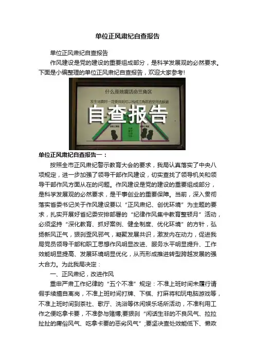 单位正风肃纪自查报告