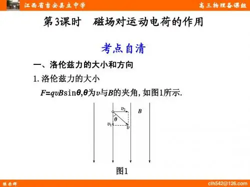 第八章_磁_场_第3课时_磁场对运动电荷的作用(陈乐辉)