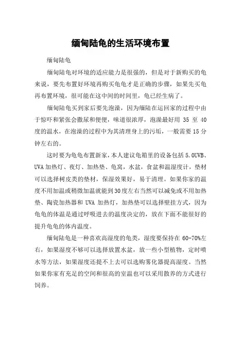 缅甸陆龟的生活环境布置
