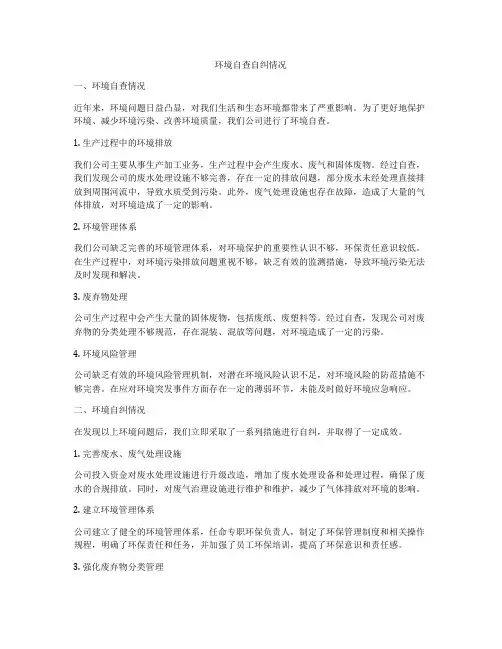 环境自查自纠情况