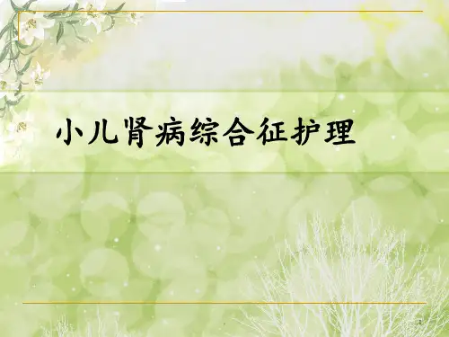 小儿肾病综合征的护理ppt课件