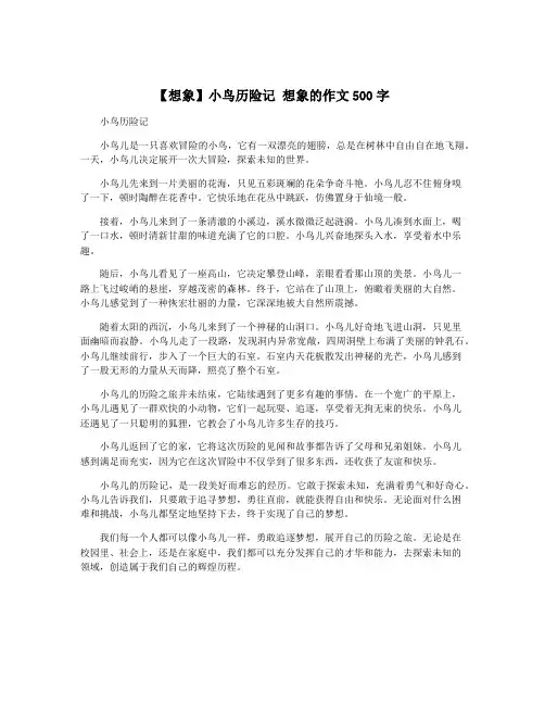 【想象】小鸟历险记 想象的作文500字
