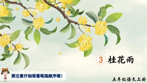 部编版五年级上册第3课《桂花雨》生字讲解课件