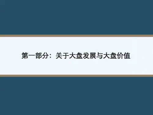 大盘发展与开发模式介绍