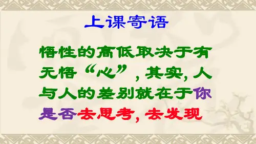 七年级数学上册《同类项、合并同类项》PPT