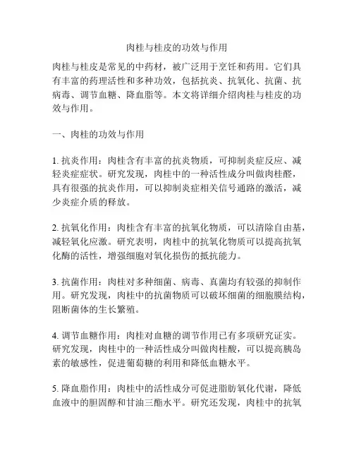 肉桂与桂皮的功效与作用