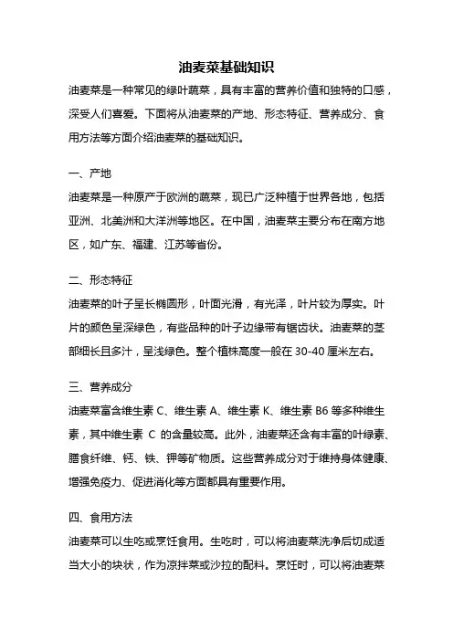 油麦菜基础知识