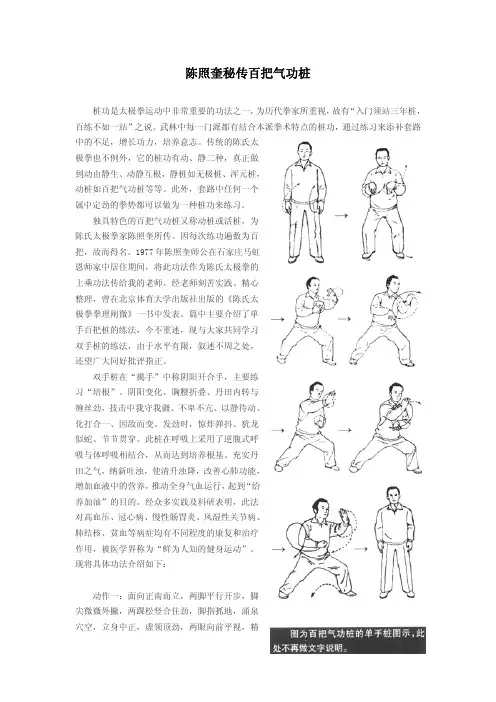 陈照奎秘传百把气功桩