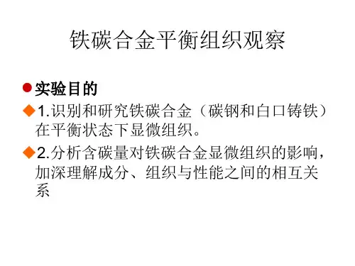 铁碳合金平衡组织观察