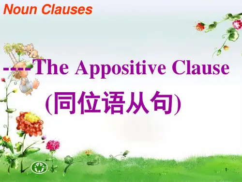 同位语从句(课堂PPT)