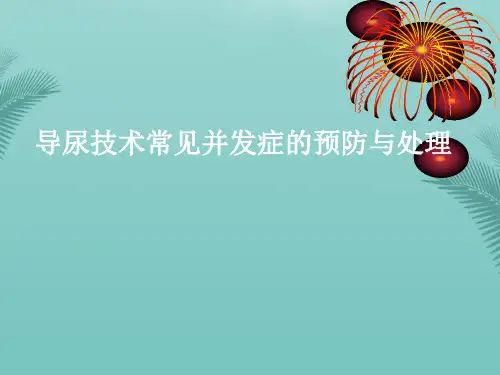 导尿技术常见并发症的预防与处理.优秀精选PPT