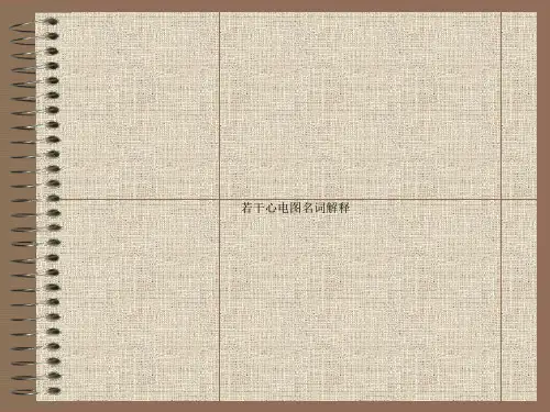 若干心电图名词解释