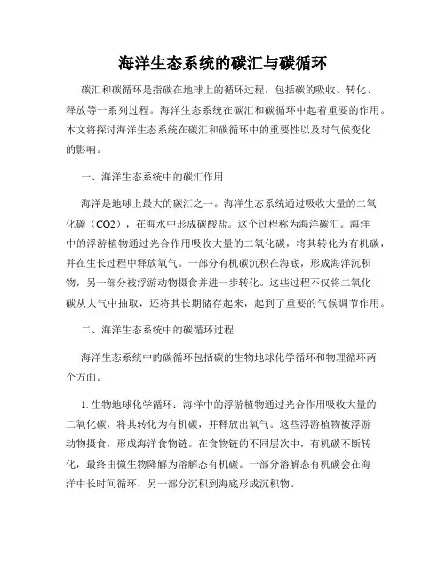 海洋生态系统的碳汇与碳循环