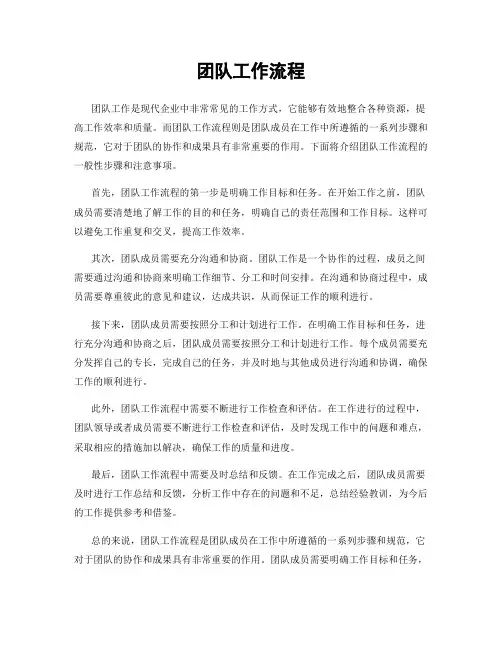 团队工作流程
