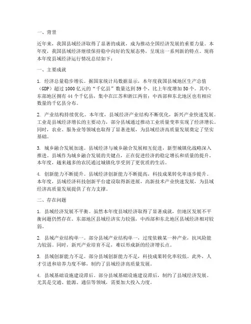 县域经济年度总结