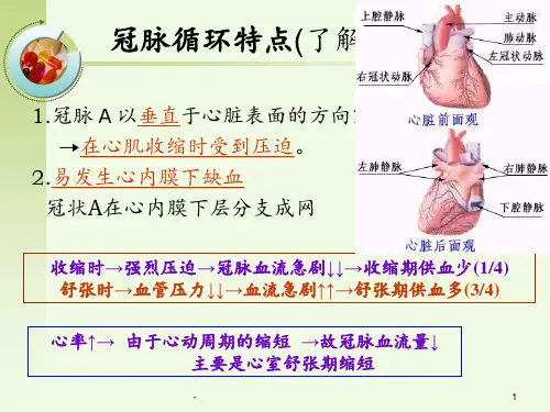 第28抗心绞痛药PPT课件