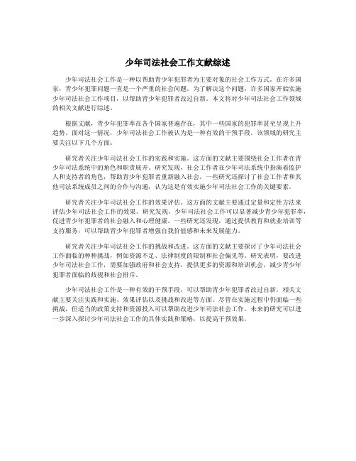 少年司法社会工作文献综述