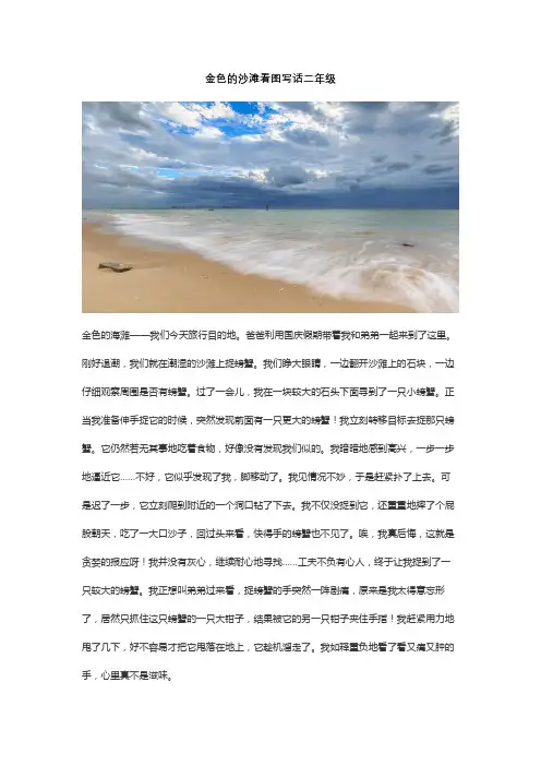 金色的沙滩看图写话二年级