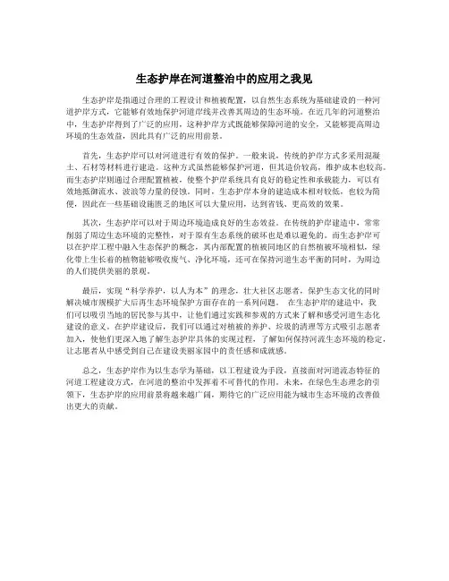 生态护岸在河道整治中的应用之我见