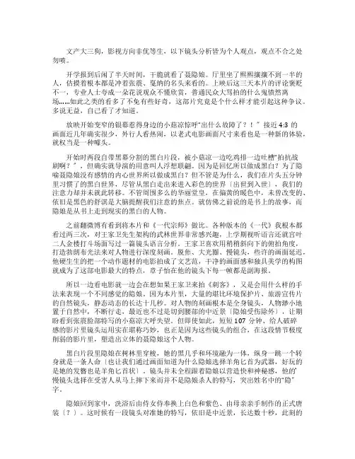 《刺客聂隐娘》不专业镜头下隐喻义的分析