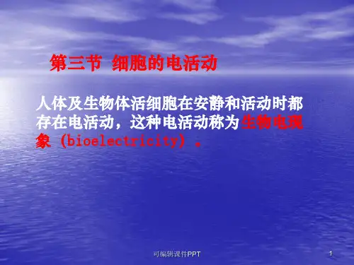 生理学静动作电位ppt课件