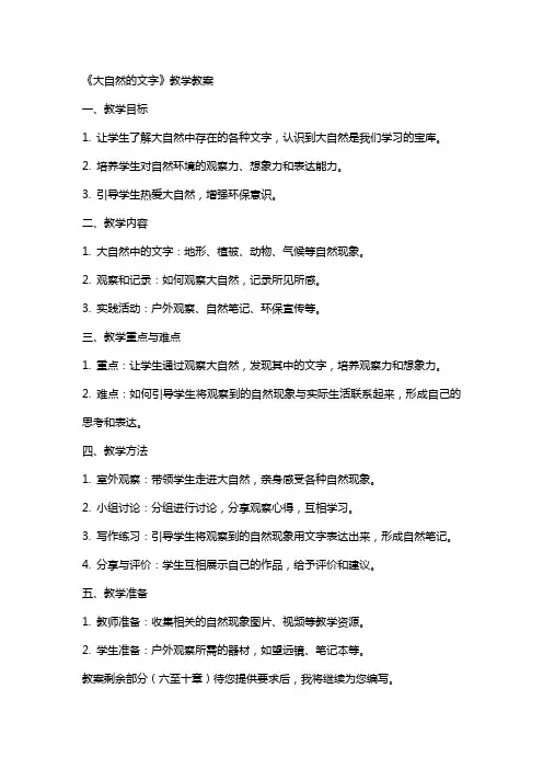 《大自然的文字》教学教案