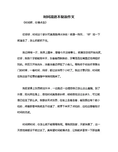 时间流逝不复返作文