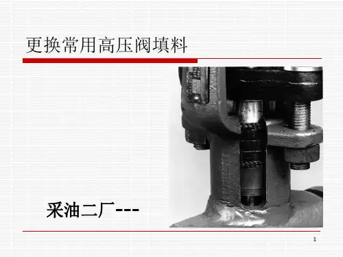 高压阀门更换填料 ppt课件