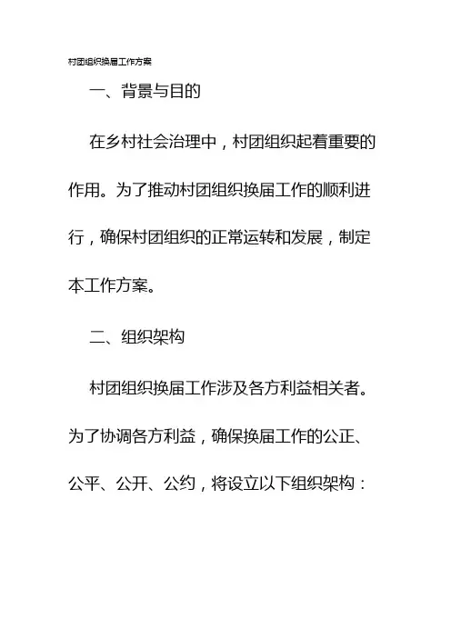 村团组织换届工作方案