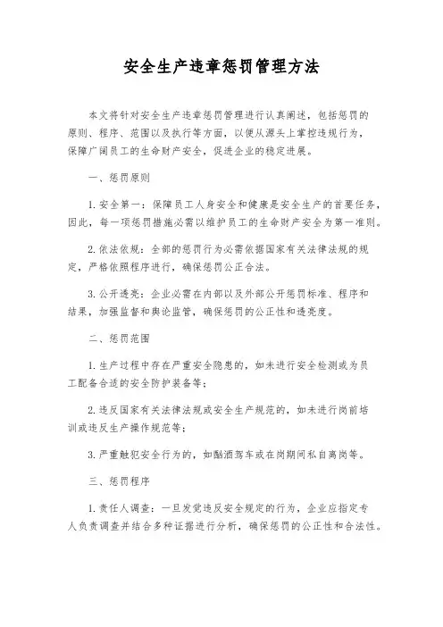 安全生产违章处罚管理办法