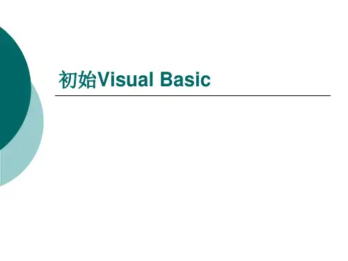 苏科版八年级全册信息技术4.认识VisualBasic课件