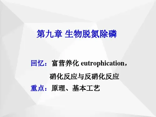 生物脱氮除磷ppt
