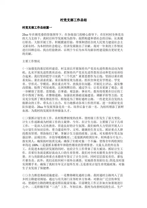 村党支部工作总结