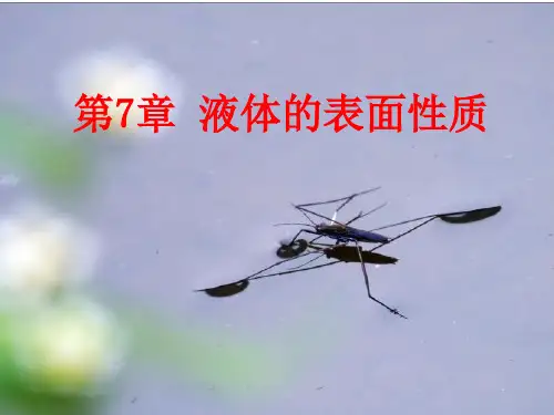 《大学物理》液体的表面性质
