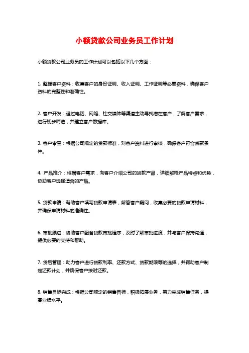 小额贷款公司业务员工作计划