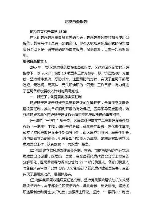 地税自查报告