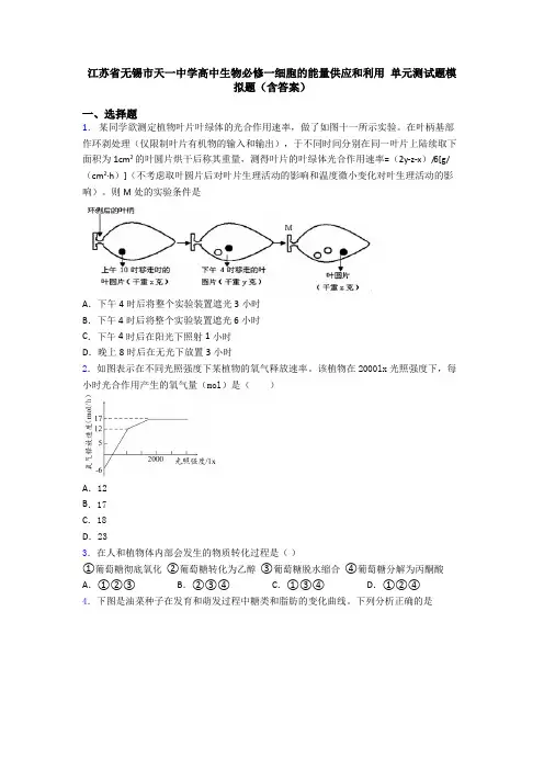 江苏省无锡市天一中学高中生物必修一细胞的能量供应和利用 单元测试题模拟题(含答案)