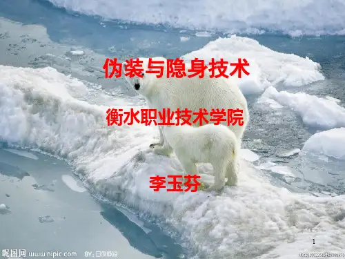 伪装与隐身技术PPT课件