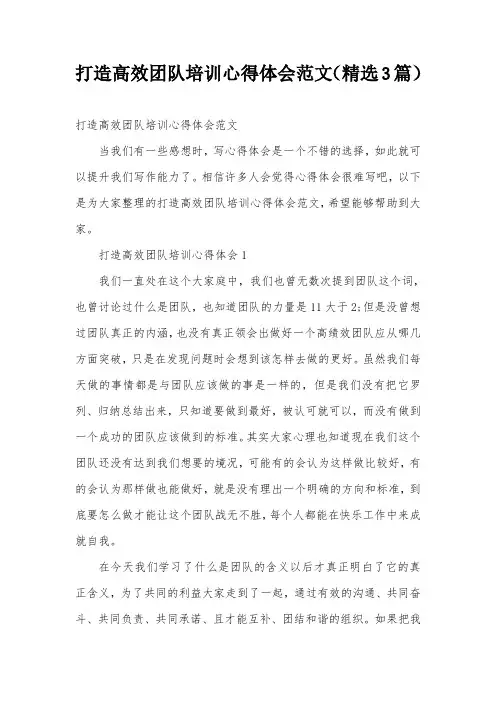 打造高效团队培训心得体会范文(精选3篇)