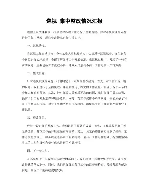 巡视 集中整改情况汇报