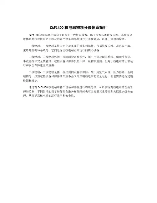 CAP1400核电站物项分级体系简析